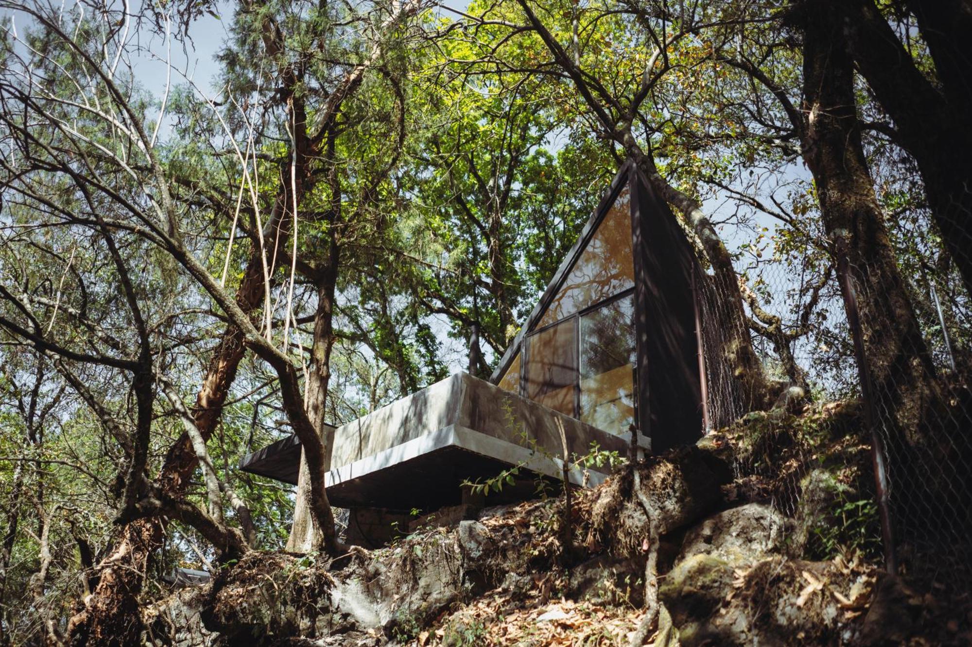 Grasshopper Cabanas Cuautla  Ngoại thất bức ảnh